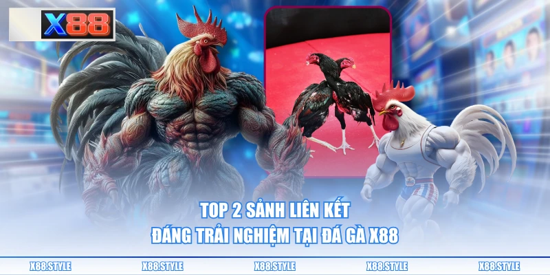 TOP 2 sảnh liên kết đáng trải nghiệm tại đá gà X88